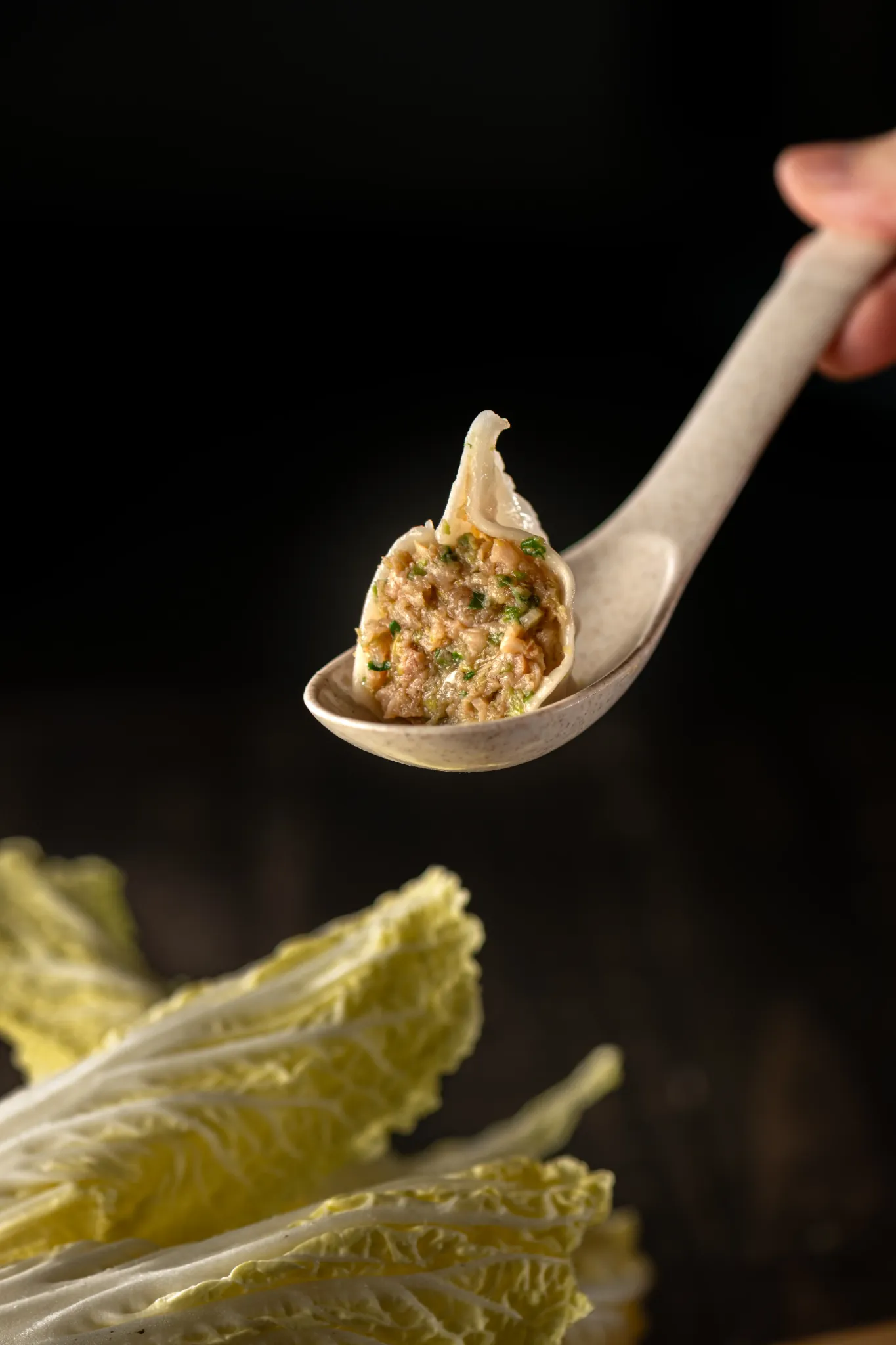 清爽白菜鲜肉饺 Ni Ai Dumpling cabbage dumpling, 白菜水饺, 清爽白菜鲜肉饺